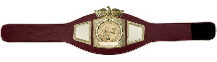 PROEAGLE FEMALE BOXING CHAMPIONSHIP BELT - PROEAGLE/G/FEMBOXG - AVAILABLE IN 6+ COLOURS PROEAGLE FEMALE BOXING CHAMPIONSHIP BELT - PROEAGLE/G/FEMBOXG - AVAILABLE IN 6+ COLOURS